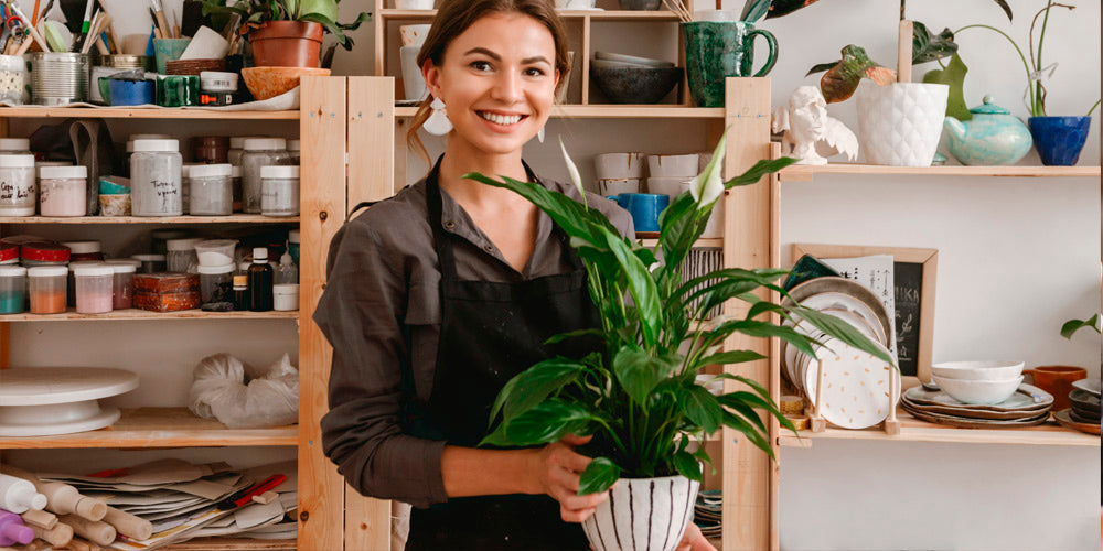 vasi ceramica e vetro una scelta eco-sostenibile 