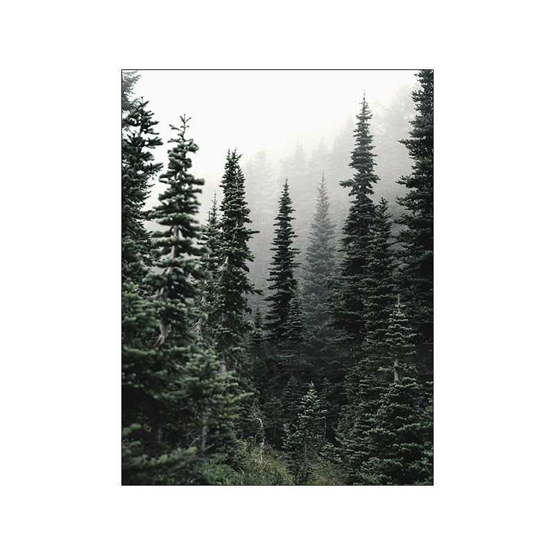Quadro poster "Foresta invernale" 