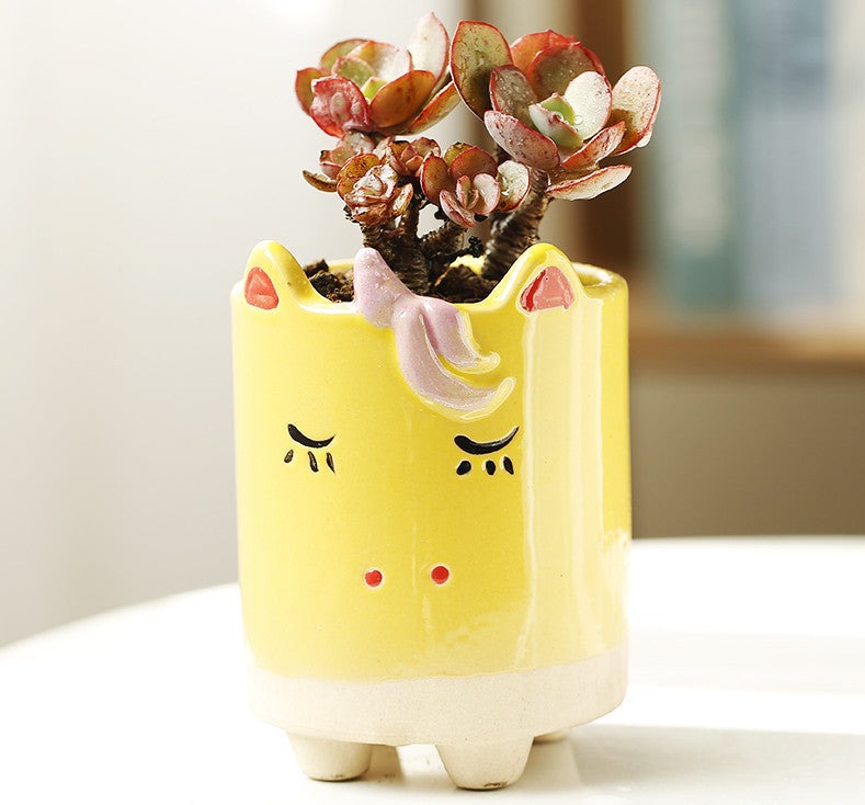 Vasi in ceramica per piante grasse a forma di animali carini