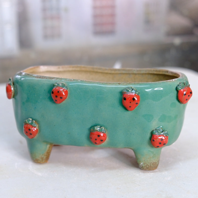 Vasi colorati in ceramica con piccole fragole