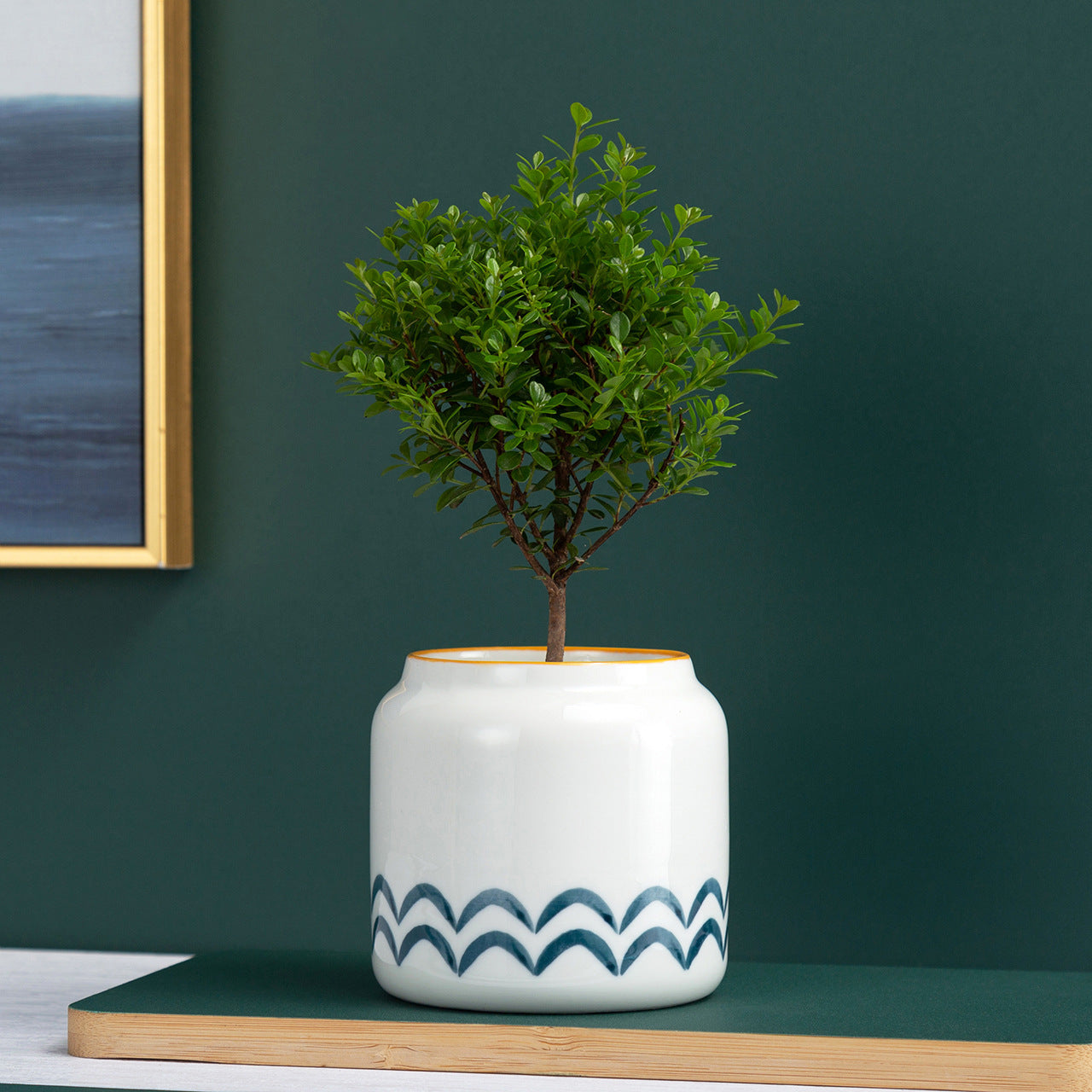 Vasi di ceramica per piante grasse per ambienti interni – AllaRicerca Shop