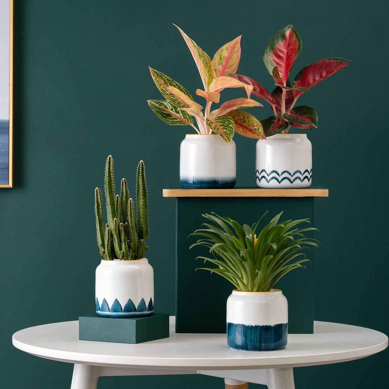 Vasi di ceramica per piante grasse per ambienti interni