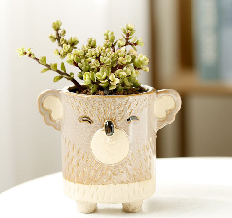 Vasi in ceramica per piante grasse a forma di animali carini